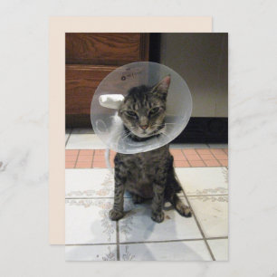 Oliver The Cats Cone of Shame Flat Get Well Kaart