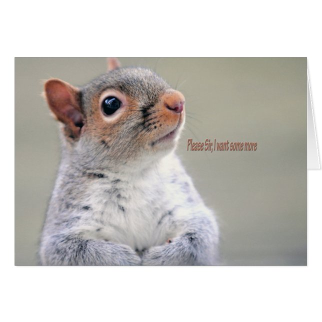 Oliver Twist Squirrel (Devant horizontal)