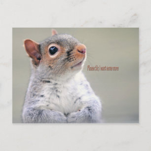 Oliver Twist Squirrel Briefkaart