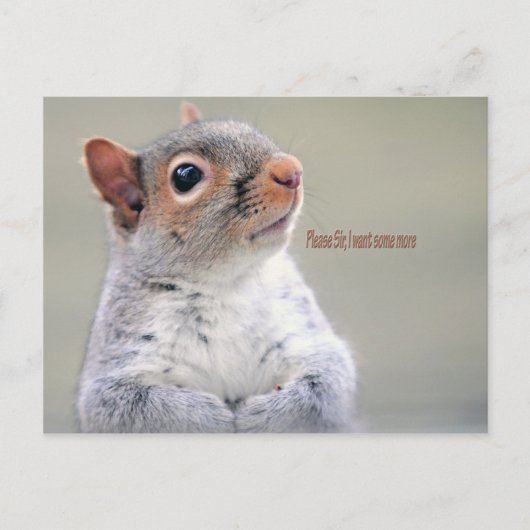 Oliver Twist Squirrel Briefkaart (Voorkant)