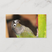 Oliver Visitekaartje (Achterkant)