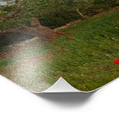 Oliveraie au coucher du soleil imprimer photo (Coin)