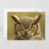 Ollen Briefkaart (Voorkant / Achterkant)