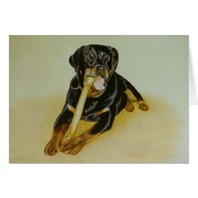 Ollie (Voorkant Horizontaal)