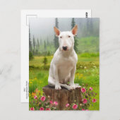 Ollie Briefkaart (Voorkant / Achterkant)