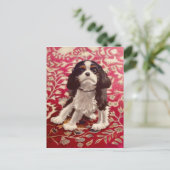 Ollie, carte postale (Debout devant)