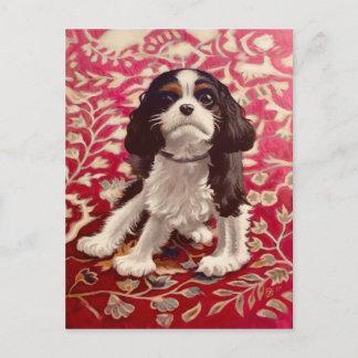 Ollie, carte postale