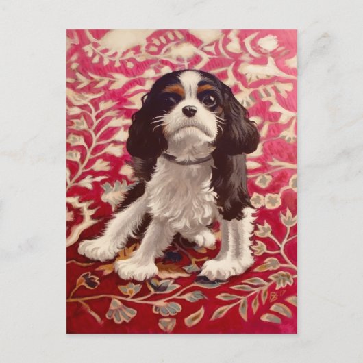 Ollie, carte postale (Devant)