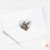 Ollie Hart Sticker (Envelop)