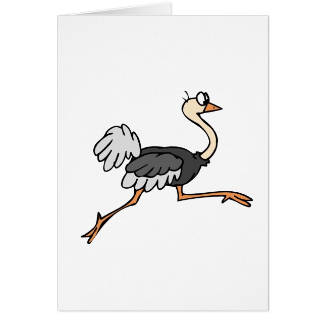 Ollie Ostrich (Voorkant)