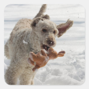 Ollie Vierkante Sticker