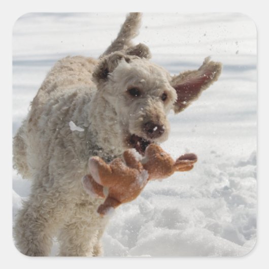 Ollie Vierkante Sticker (Voorkant)