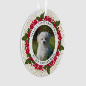 Ollie's First Forever Home Christmas Ornament (devant)