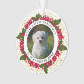 Ollie's First Forever Home Christmas Ornament (devant)