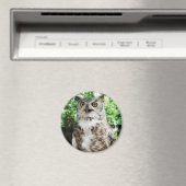 " OLLY " LE MAGNET OWL (In Situ (Lave-vaisselle))