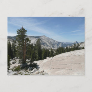 Olmsted Point II vanuit Yosemite National Park Briefkaart