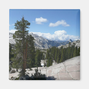 Olmsted Point III in Yosemite National Park Magneet