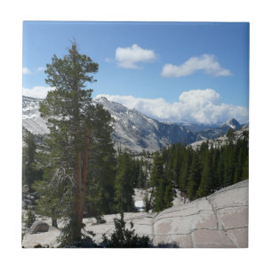 Olmsted Point III in Yosemite National Park Tegeltje