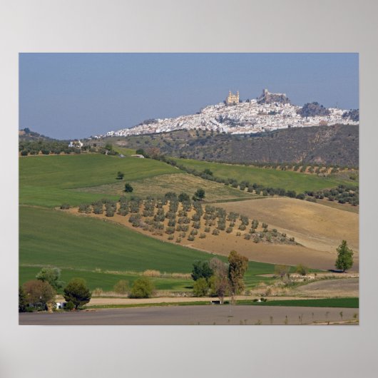 Olvera, Andalusië, Spanje Poster (Voorkant)