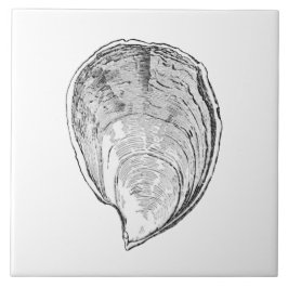 Olympia Oyster Illustratie Tegeltje