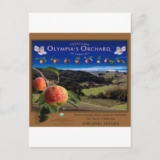 Olympia's Orchard Briefkaart