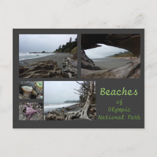 Olympic N.P. (Beaches - Kalaloch, Rialto, Beach 4) Briefkaart