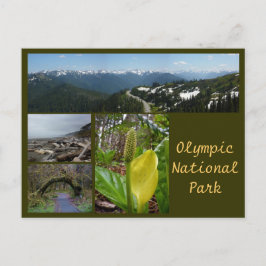 Olympic N.P. (orkaan Ridge, Kalaloch, Hoh) Briefkaart
