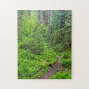 Olympic National Park, bospad Legpuzzel