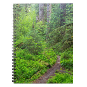 Olympic National Park, Boswandeling Notitieboek