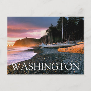 Olympic National Park Staat Washington Dank U Briefkaart