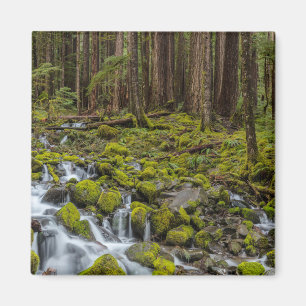 Olympic National Park, staat Washington Magneet
