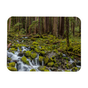 Olympic National Park, staat Washington Magneet