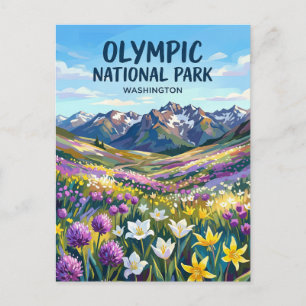 Olympic National Park Washington Briefkaart