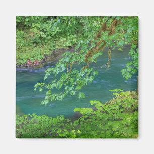 Olympic National Park Washington State Magneet