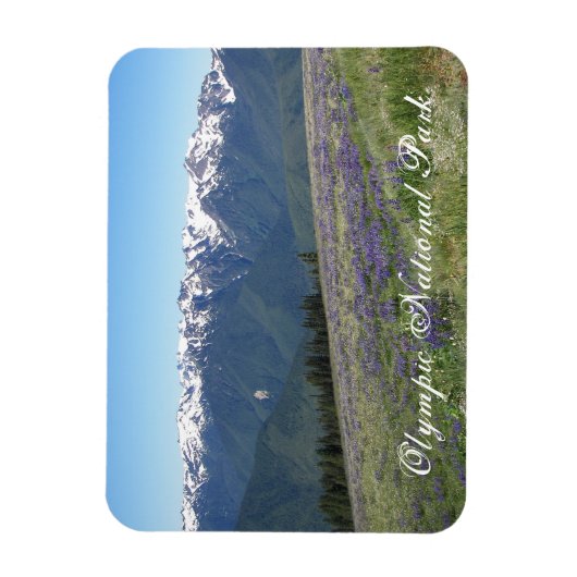 Olympisch Nationaal Park Schilderachtig Landschap Magneet (Verticaal)