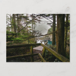 Olympisch schiereiland Cape Flattery Trail Briefkaart