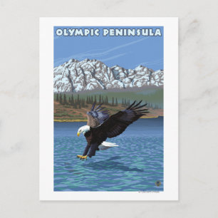 Olympisch schiereiland, WashingtonFishing Eagle Briefkaart