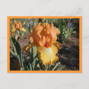 Olympische uitdaging briefkaart