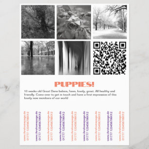 Om Dane Puppies Flyer te verkopen