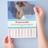 Om Dane Puppies Flyer te verkopen (Hand)