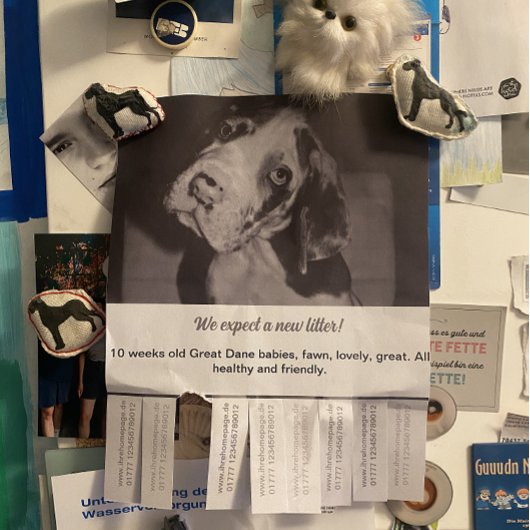 Om Dane Puppies kleurvol te verkopen Flyer