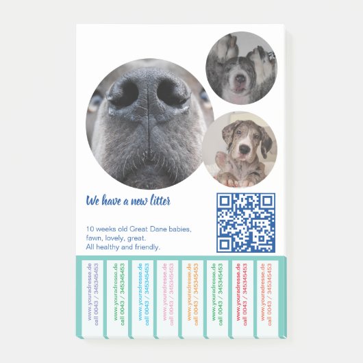 Om Dane Puppies kleurvol te verkopen Post-it® Notes (Voorkant)