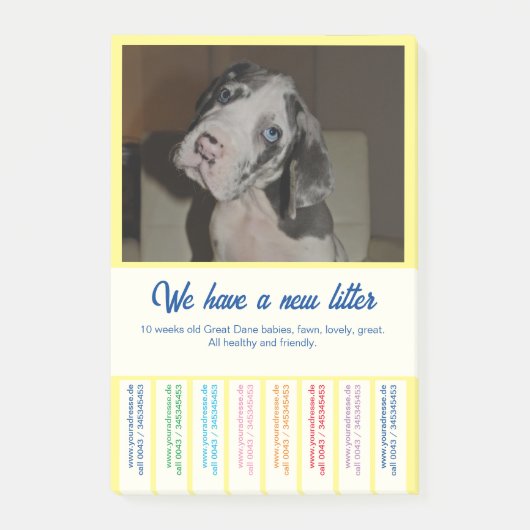 Om Dane Puppies kleurvol te verkopen Post-it® Notes (Voorkant)