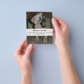 Om Dane Puppies te verkopen Flyer (Hand)