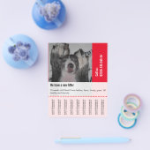 Om Dane Puppies te verkopen Flyer (Enkel)