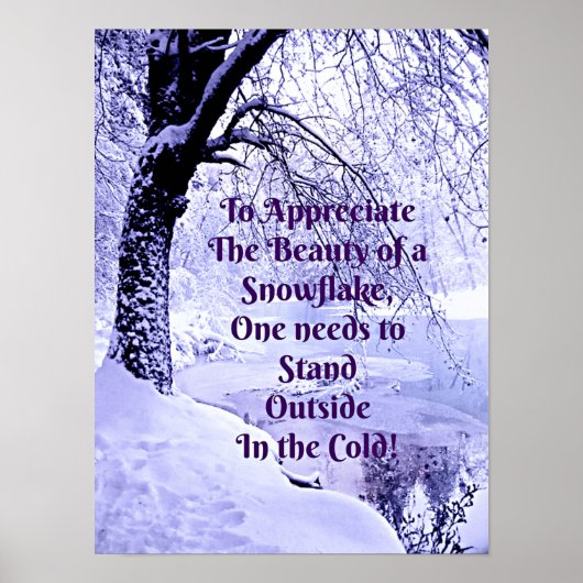 Om de schoonheid van een Snowflake te waarderen Poster (Voorkant)
