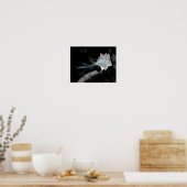 Om een gebroken hart te helen -  witte rozenfoto poster (Keuken)