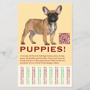 Om Franse Puppy Flyer te verkopen
