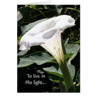 Om in Zijn licht te leven