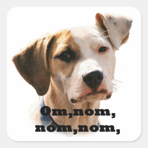 Om, nom, nom, nom. vierkante sticker